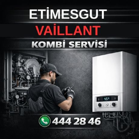 Etimesgut Vaillant Kombi Servisi
